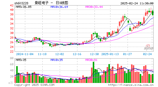 景旺电子