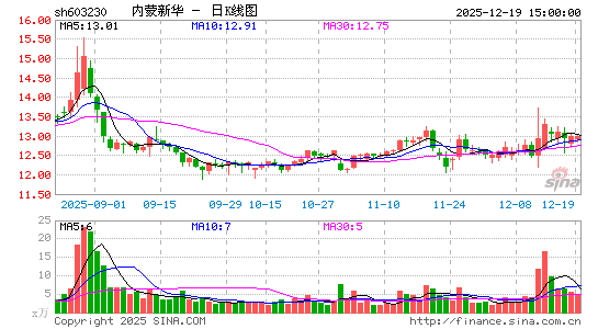 �����»�