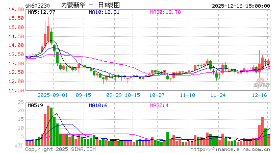 �����»�