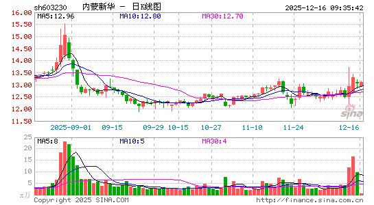 �����»�