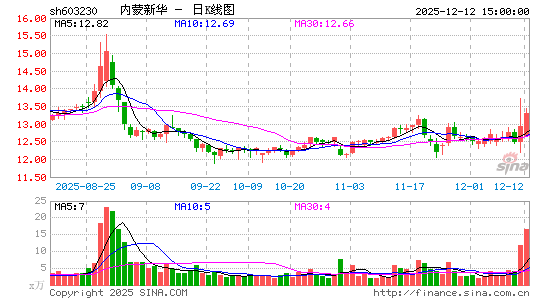 �����»�