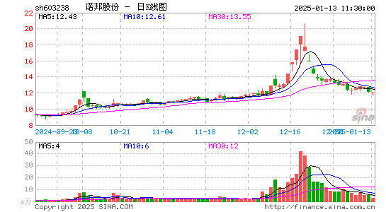 诺邦股份