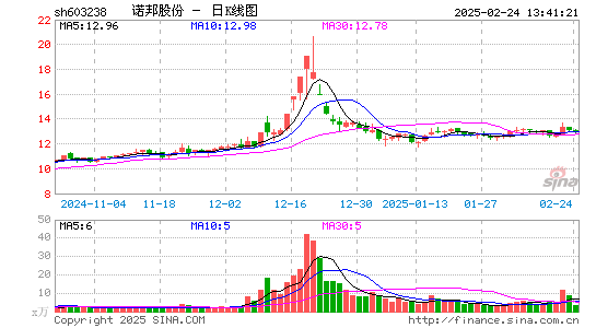 诺邦股份