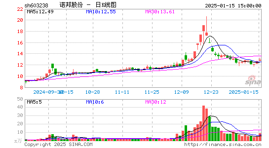 诺邦股份