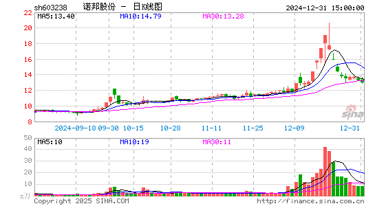 诺邦股份