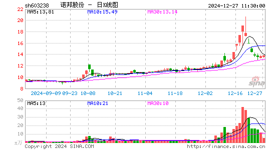 诺邦股份