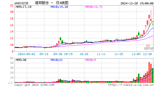 诺邦股份