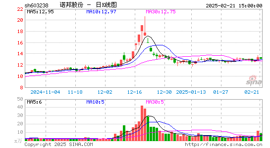 诺邦股份