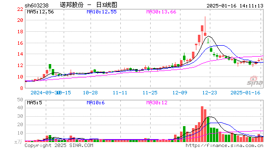 诺邦股份