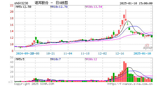 诺邦股份