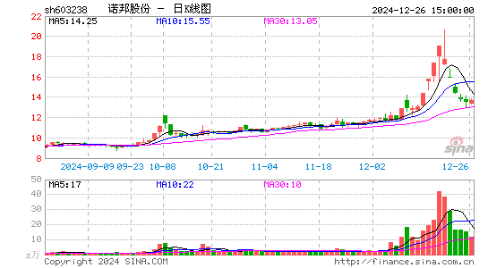 诺邦股份