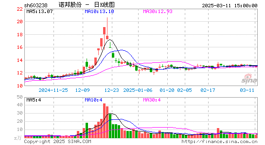 诺邦股份