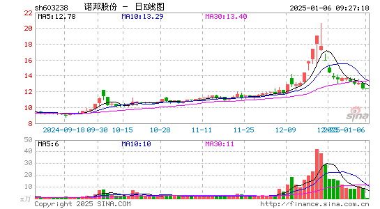 诺邦股份