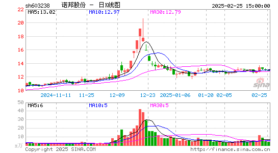 诺邦股份