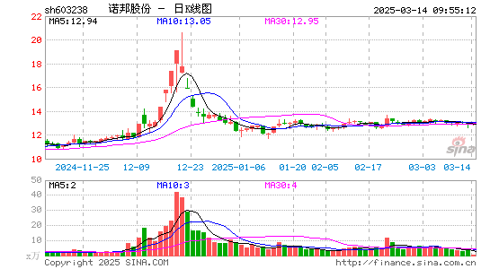 诺邦股份