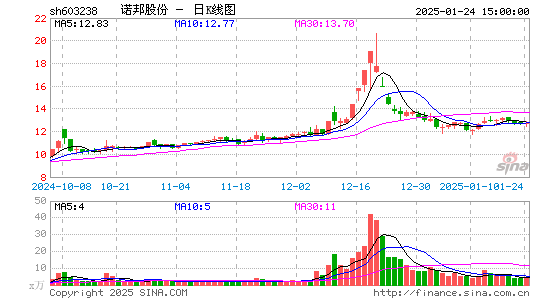 诺邦股份