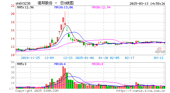 诺邦股份