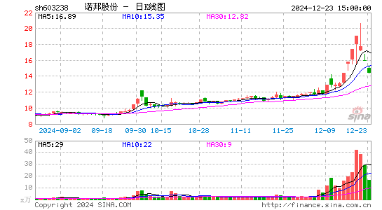 诺邦股份