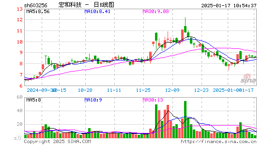 宏和科技