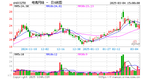 电魂网络