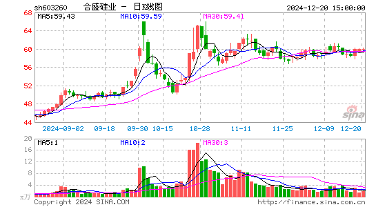 合盛硅业