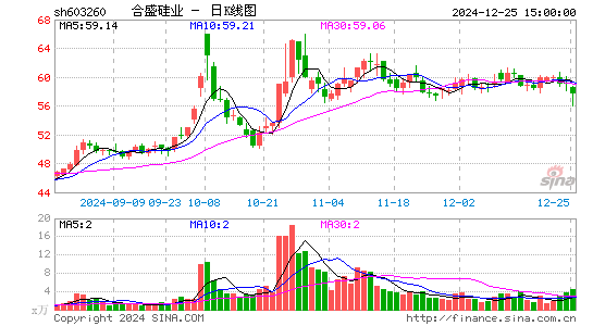 合盛硅业