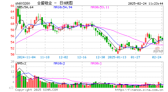 合盛硅业