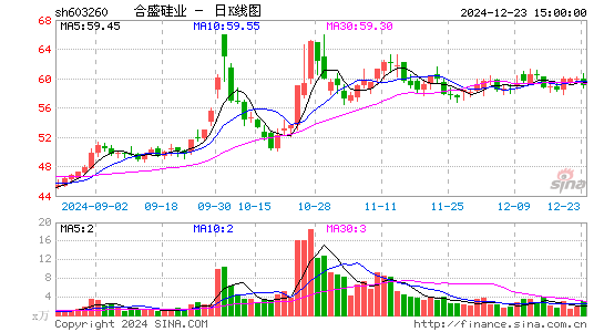 合盛硅业