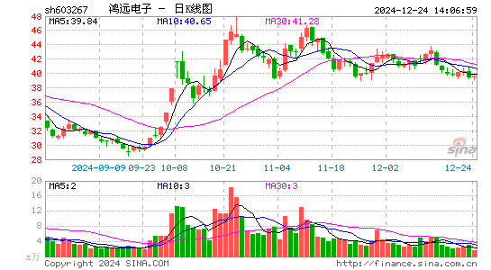 鸿远电子