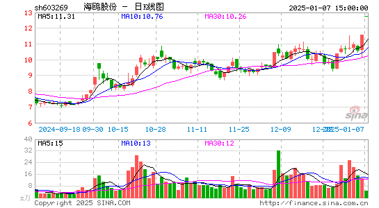 海鸥股份