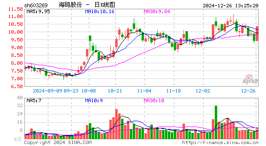 海鸥股份