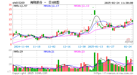 海鸥股份