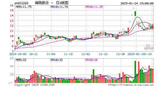 海鸥股份