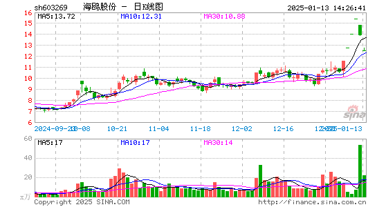 海鸥股份