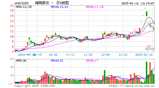 海鸥股份