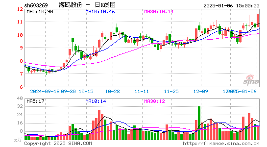 海鸥股份