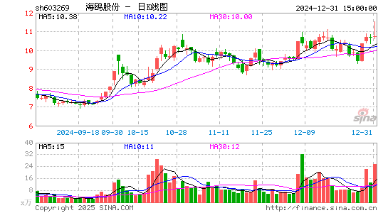 海鸥股份