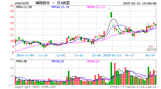 海鸥股份