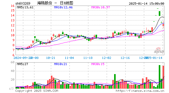 海鸥股份