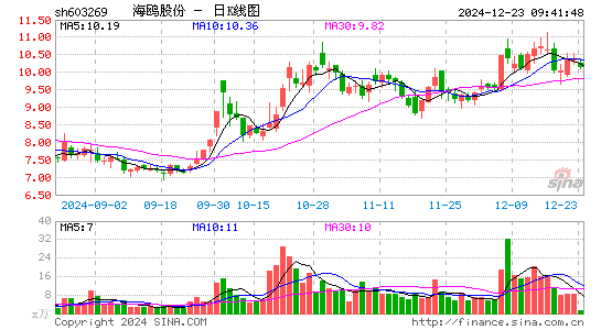 海鸥股份