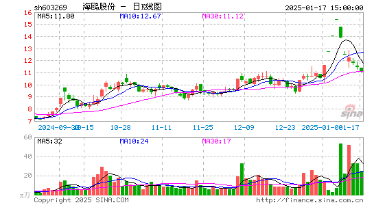 海鸥股份