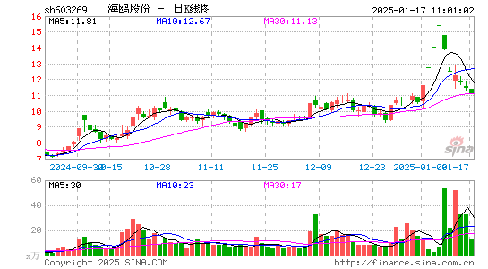 海鸥股份