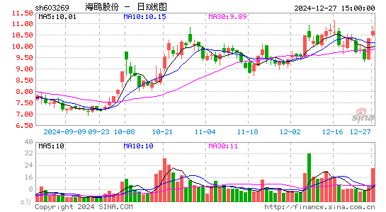 海鸥股份