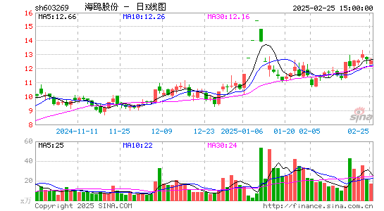 海鸥股份