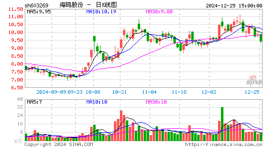 海鸥股份