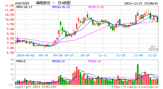 海鸥股份