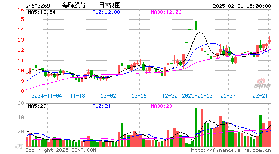 海鸥股份