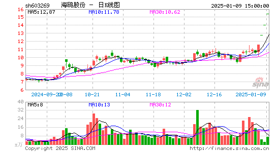 海鸥股份