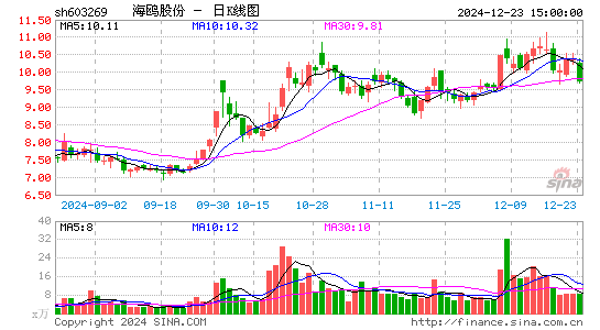 海鸥股份