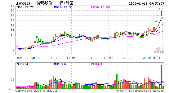 海鸥股份